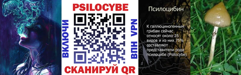 Галлюциногенные грибы Psilocybe  Купить закладки  Семикаракорск 